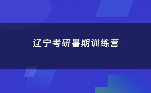 辽宁考研暑期训练营