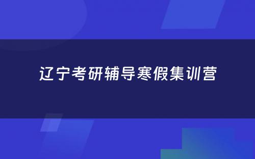 辽宁考研辅导寒假集训营