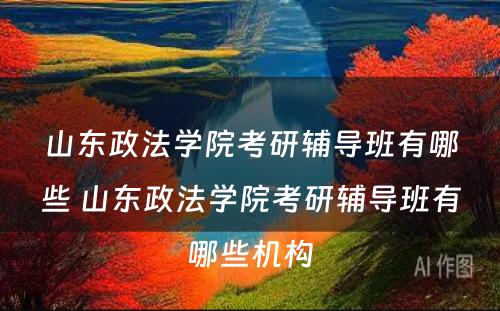 山东政法学院考研辅导班有哪些 山东政法学院考研辅导班有哪些机构