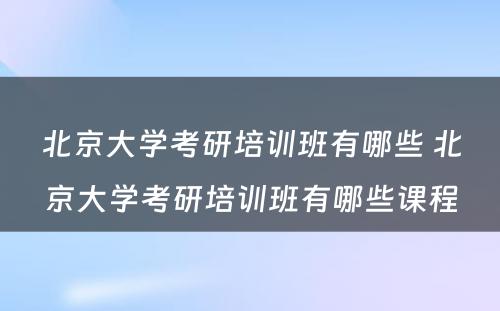 北京大学考研培训班有哪些 北京大学考研培训班有哪些课程