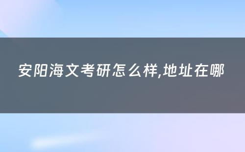 安阳海文考研怎么样,地址在哪 