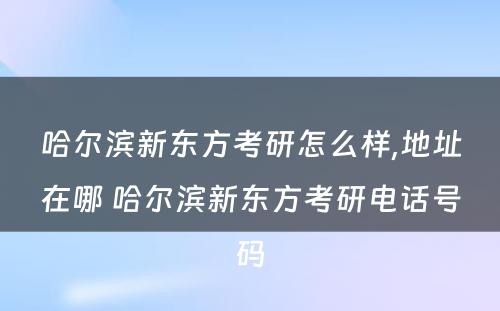 哈尔滨新东方考研怎么样,地址在哪 哈尔滨新东方考研电话号码