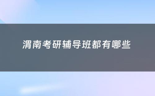 渭南考研辅导班都有哪些 