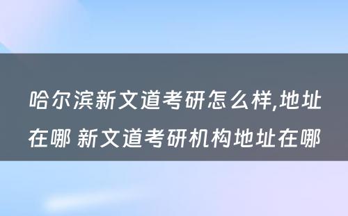 哈尔滨新文道考研怎么样,地址在哪 新文道考研机构地址在哪