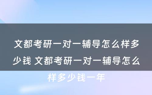 文都考研一对一辅导怎么样多少钱 文都考研一对一辅导怎么样多少钱一年