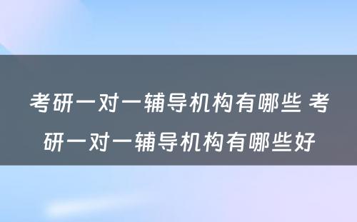 考研一对一辅导机构有哪些 考研一对一辅导机构有哪些好