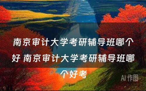 南京审计大学考研辅导班哪个好 南京审计大学考研辅导班哪个好考