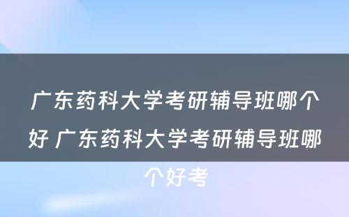 广东药科大学考研辅导班哪个好 广东药科大学考研辅导班哪个好考