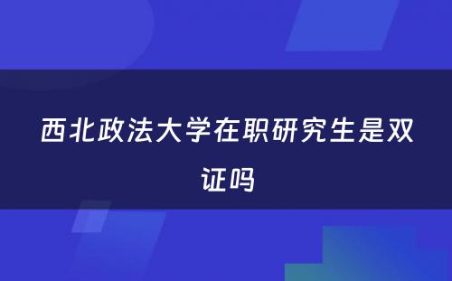 西北政法大学在职研究生是双证吗