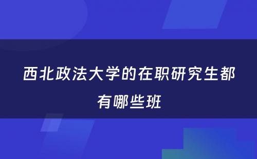 西北政法大学的在职研究生都有哪些班