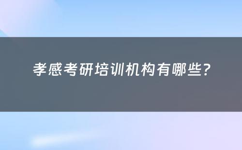 孝感考研培训机构有哪些？