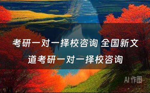 考研一对一择校咨询 全国新文道考研一对一择校咨询