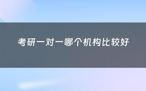 考研一对一哪个机构比较好