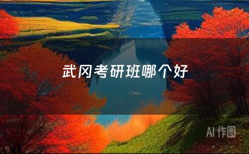 武冈考研班哪个好