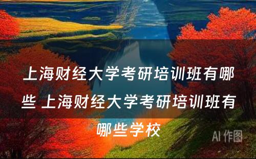 上海财经大学考研培训班有哪些 上海财经大学考研培训班有哪些学校