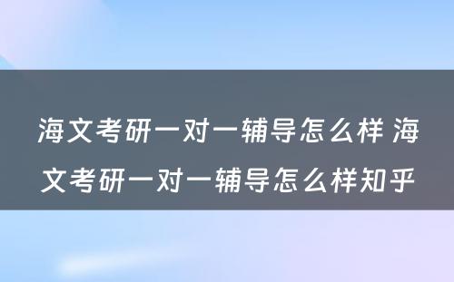 海文考研一对一辅导怎么样 海文考研一对一辅导怎么样知乎