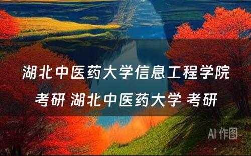 湖北中医药大学信息工程学院考研 湖北中医药大学 考研