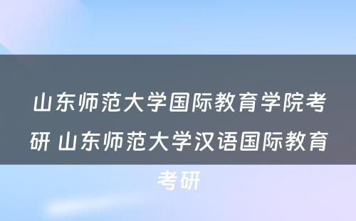 山东师范大学国际教育学院考研 山东师范大学汉语国际教育考研