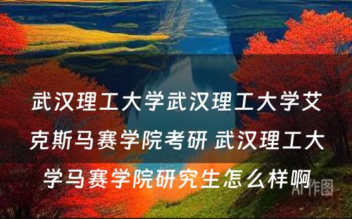 武汉理工大学武汉理工大学艾克斯马赛学院考研 武汉理工大学马赛学院研究生怎么样啊