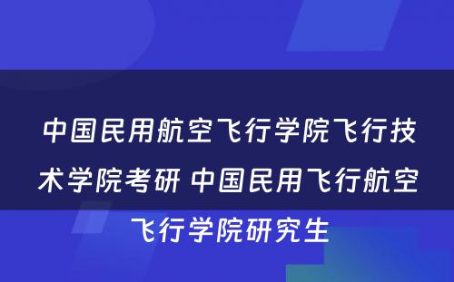 中国民用航空飞行学院飞行技术学院考研 中国民用飞行航空飞行学院研究生