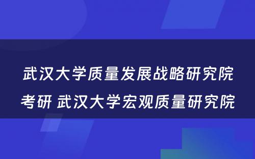 武汉大学质量发展战略研究院考研 武汉大学宏观质量研究院