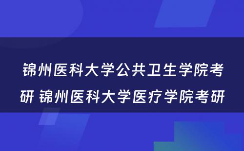 锦州医科大学公共卫生学院考研 锦州医科大学医疗学院考研