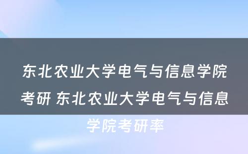 东北农业大学电气与信息学院考研 东北农业大学电气与信息学院考研率