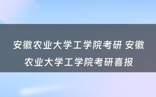 安徽农业大学工学院考研 安徽农业大学工学院考研喜报