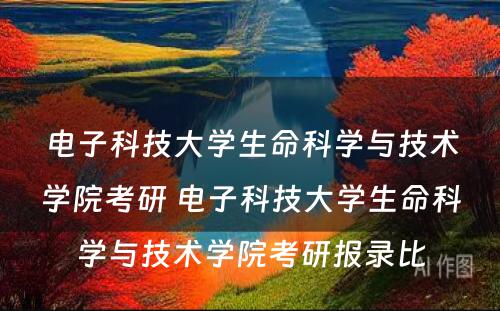 电子科技大学生命科学与技术学院考研 电子科技大学生命科学与技术学院考研报录比