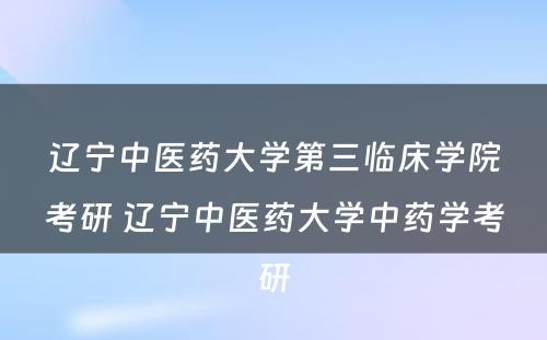 辽宁中医药大学第三临床学院考研 辽宁中医药大学中药学考研