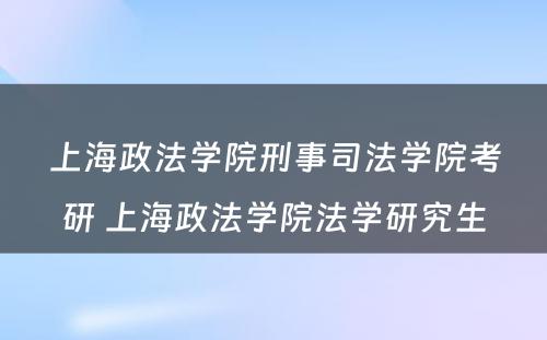 上海政法学院刑事司法学院考研 上海政法学院法学研究生