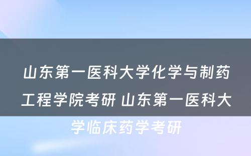 山东第一医科大学化学与制药工程学院考研 山东第一医科大学临床药学考研