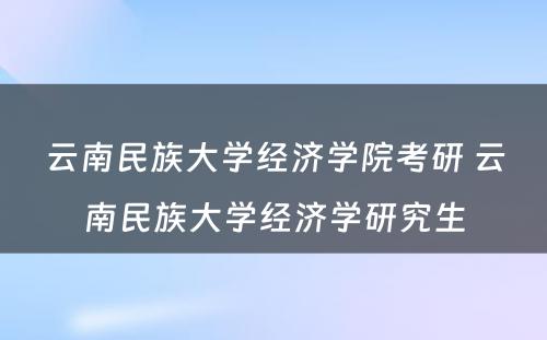 云南民族大学经济学院考研 云南民族大学经济学研究生