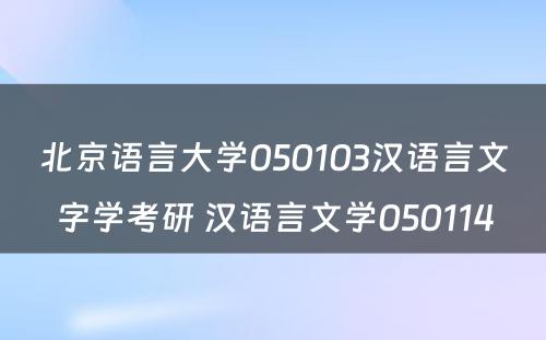 北京语言大学050103汉语言文字学考研 汉语言文学050114