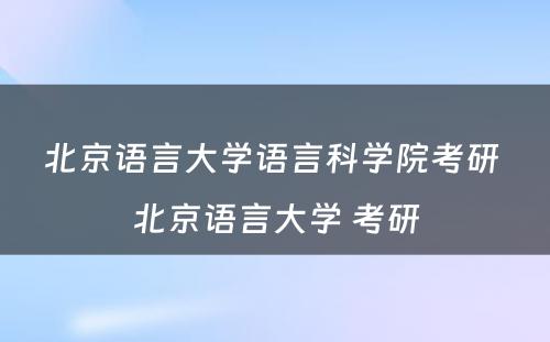 北京语言大学语言科学院考研 北京语言大学 考研