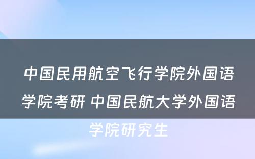 中国民用航空飞行学院外国语学院考研 中国民航大学外国语学院研究生