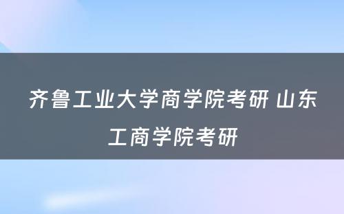 齐鲁工业大学商学院考研 山东工商学院考研