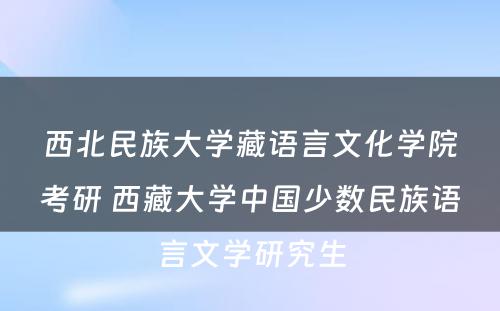 西北民族大学藏语言文化学院考研 西藏大学中国少数民族语言文学研究生