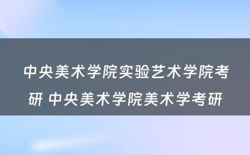 中央美术学院实验艺术学院考研 中央美术学院美术学考研