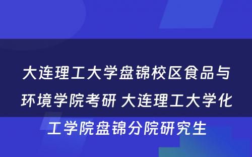 大连理工大学盘锦校区食品与环境学院考研 大连理工大学化工学院盘锦分院研究生