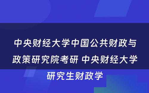 中央财经大学中国公共财政与政策研究院考研 中央财经大学研究生财政学