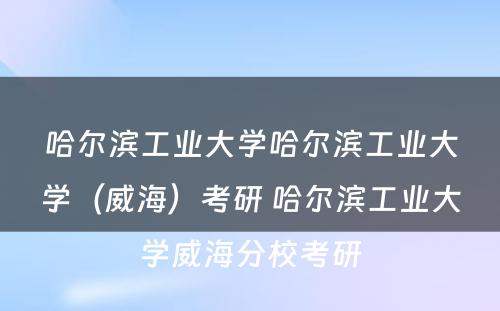 哈尔滨工业大学哈尔滨工业大学（威海）考研 哈尔滨工业大学威海分校考研