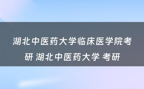 湖北中医药大学临床医学院考研 湖北中医药大学 考研