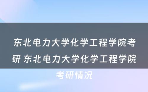 东北电力大学化学工程学院考研 东北电力大学化学工程学院考研情况