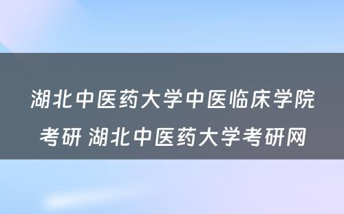 湖北中医药大学中医临床学院考研 湖北中医药大学考研网