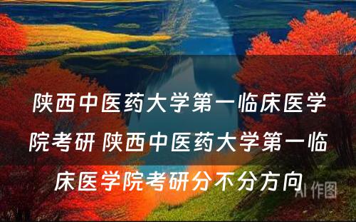 陕西中医药大学第一临床医学院考研 陕西中医药大学第一临床医学院考研分不分方向