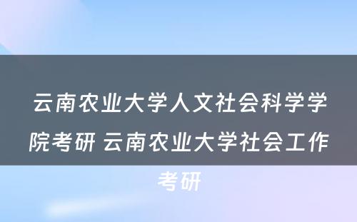 云南农业大学人文社会科学学院考研 云南农业大学社会工作考研