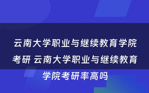 云南大学职业与继续教育学院考研 云南大学职业与继续教育学院考研率高吗