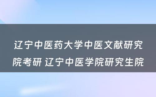 辽宁中医药大学中医文献研究院考研 辽宁中医学院研究生院