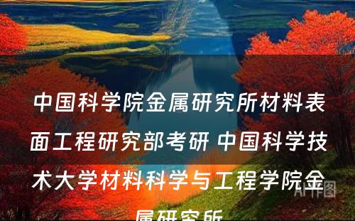 中国科学院金属研究所材料表面工程研究部考研 中国科学技术大学材料科学与工程学院金属研究所